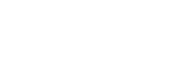 Clever Freelancer Logo